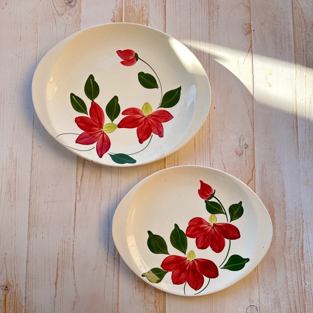 Vintage Floral Dinner Platter Set - Red and Green